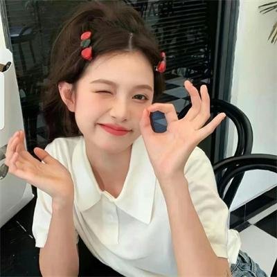 超完美狗保姆